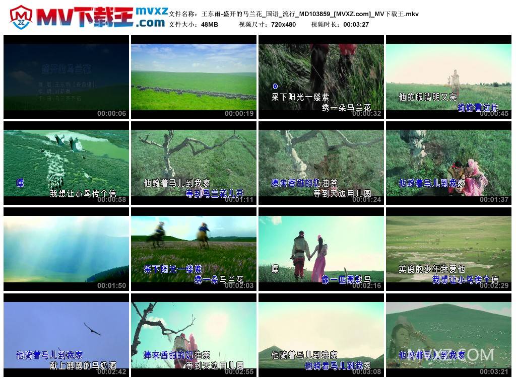 王东雨-盛开的马兰花_国语_流行_MD103859